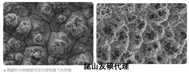 晋中蔡司晋中扫描电镜